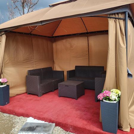 Vila Ana Cu Terasa Gratar Si Jacuzzi Villa Satu Mare Exterior photo