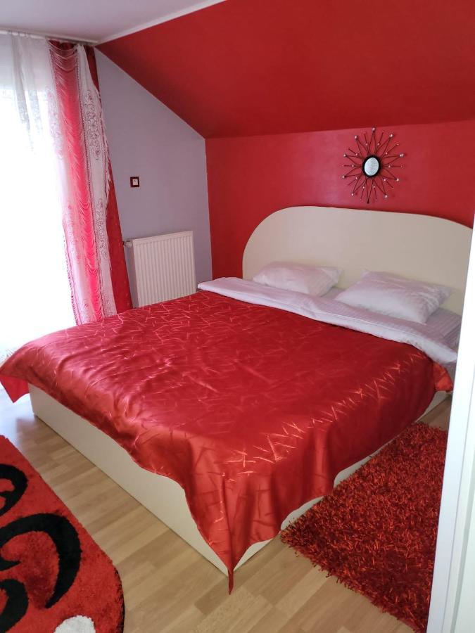 Vila Ana Cu Terasa Gratar Si Jacuzzi Villa Satu Mare Exterior photo