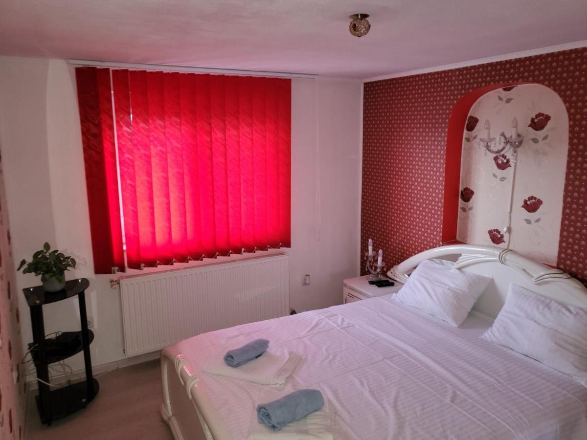 Vila Ana Cu Terasa Gratar Si Jacuzzi Villa Satu Mare Exterior photo