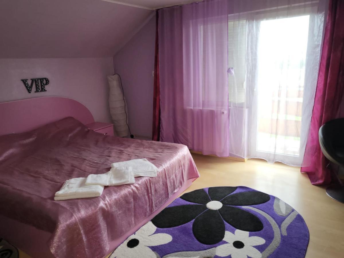 Vila Ana Cu Terasa Gratar Si Jacuzzi Villa Satu Mare Exterior photo
