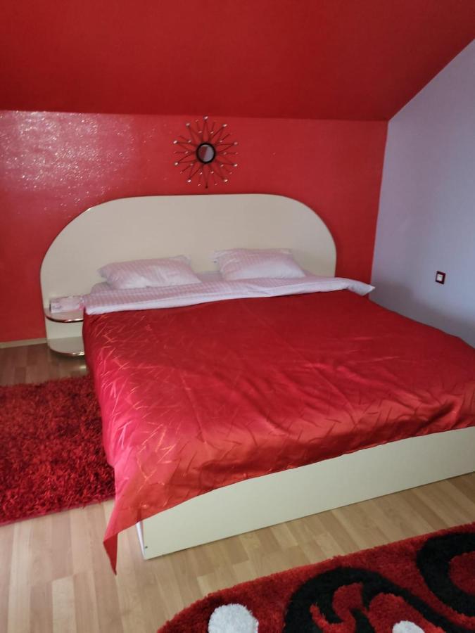 Vila Ana Cu Terasa Gratar Si Jacuzzi Villa Satu Mare Exterior photo