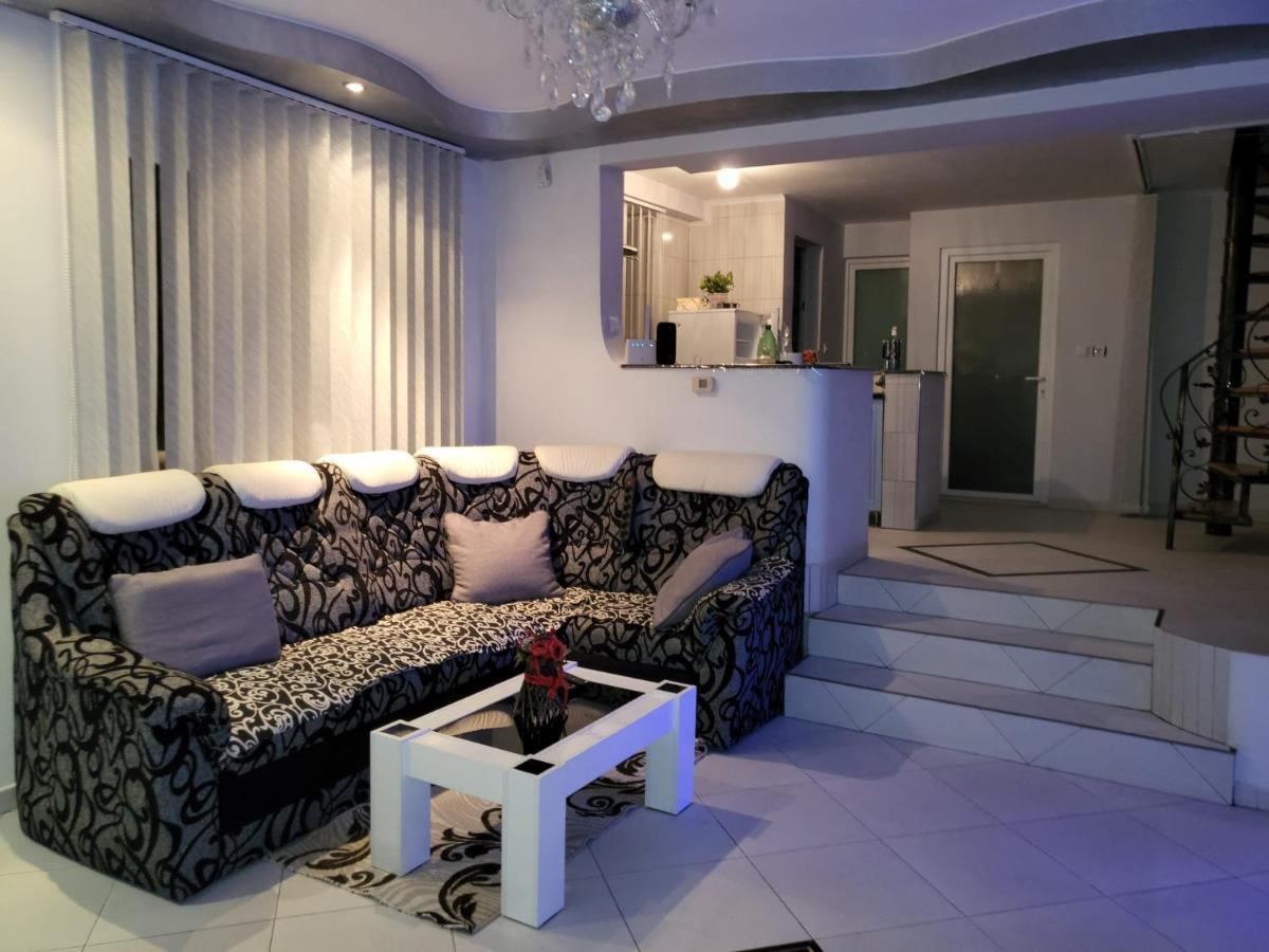 Vila Ana Cu Terasa Gratar Si Jacuzzi Villa Satu Mare Exterior photo