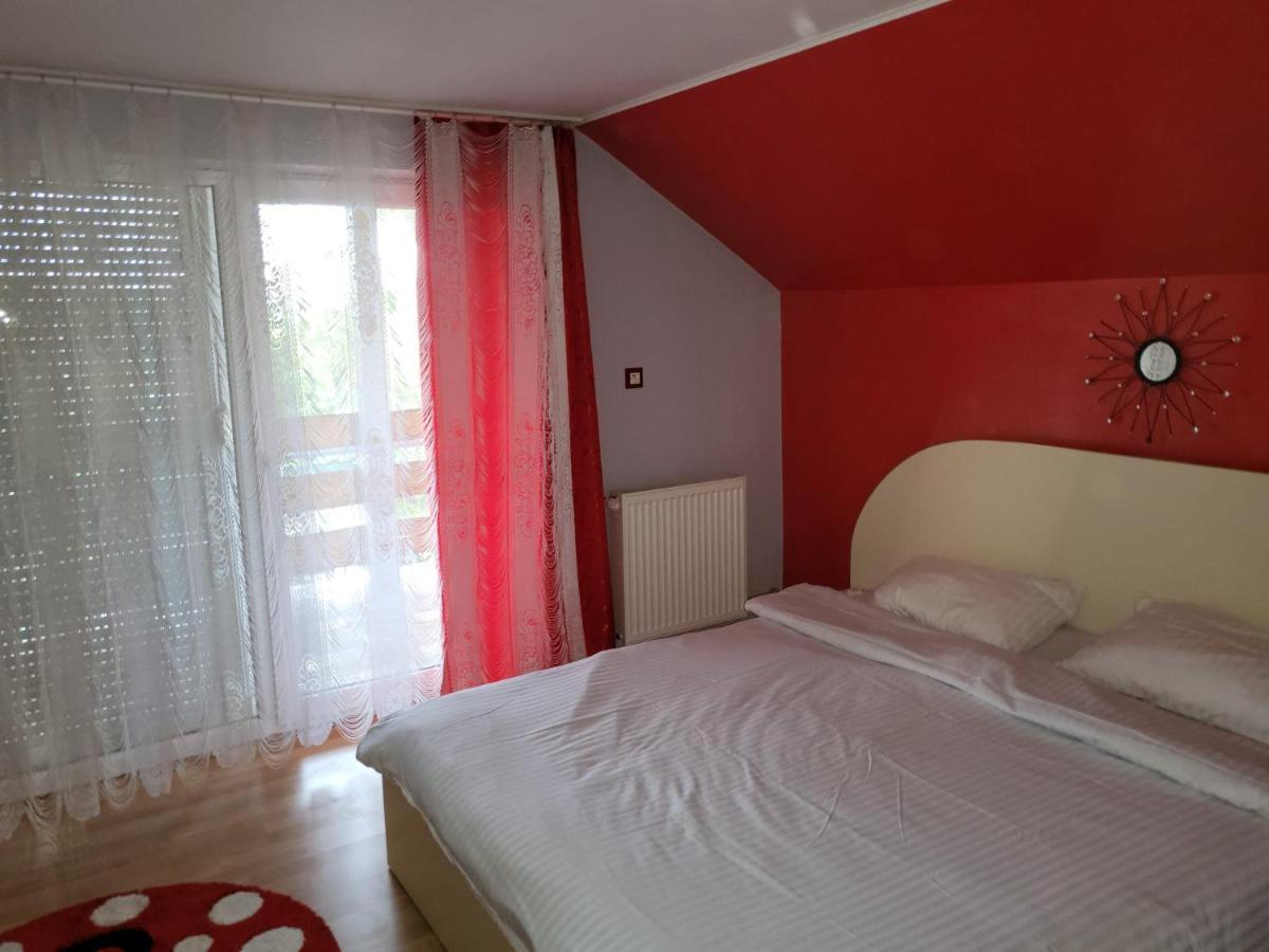Vila Ana Cu Terasa Gratar Si Jacuzzi Villa Satu Mare Exterior photo
