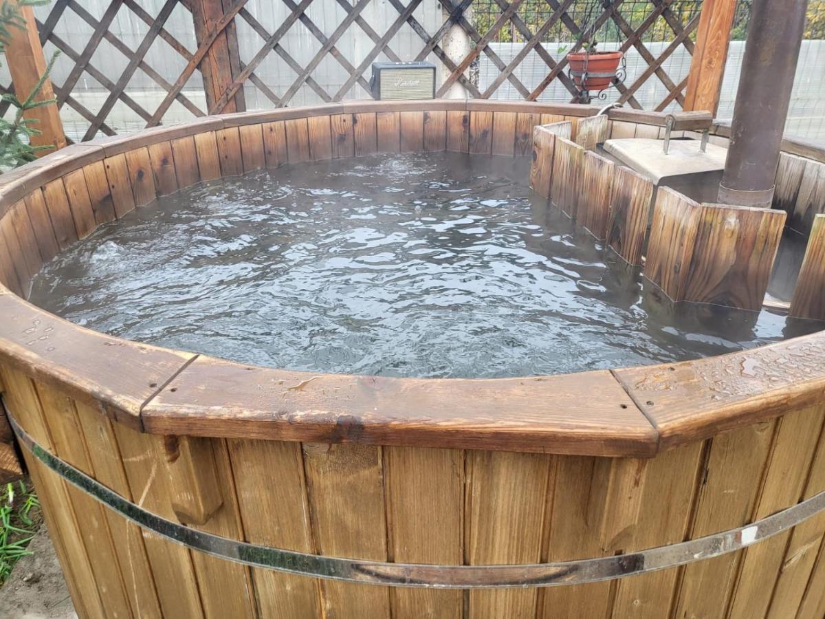 Vila Ana Cu Terasa Gratar Si Jacuzzi Villa Satu Mare Exterior photo