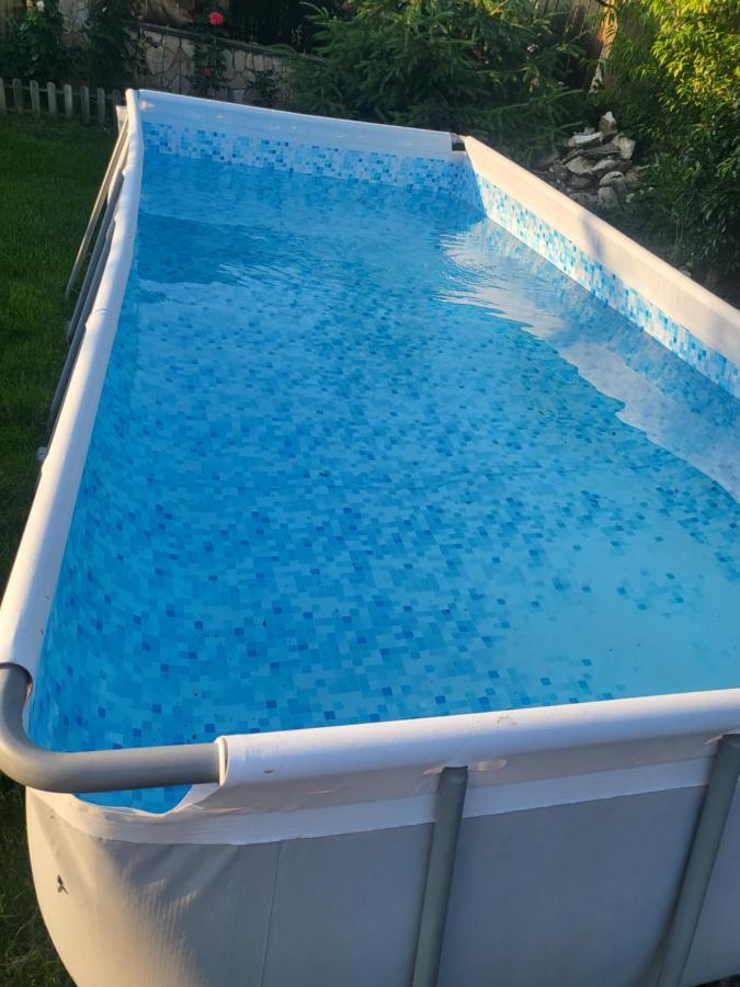 Vila Ana Cu Terasa Gratar Si Jacuzzi Villa Satu Mare Exterior photo